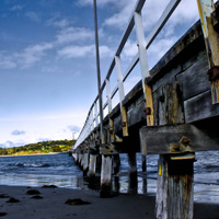 电话轰在线轰炸免费下载